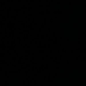 All sold… stay tuned for more items